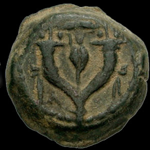 Coin of John Hyrcanus II, Hasmonaean ruler (63-40 BCE) appointed by Caesar as High Priest, hereditary ethnarch. Obverse © courtesy of Classical Numismatic Group