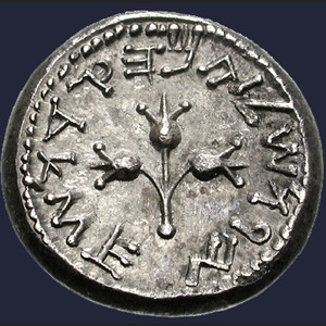 Coin, a silver shekel struck in Jerusalem: stem with three pomegranates and surrounding inscription in Hebrew ‘Jerusalem the holy’. Reverse. Jerusalem, 67 CE © courtesy of Gemini Auction